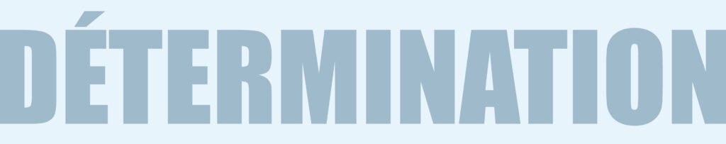 startinvest maquette